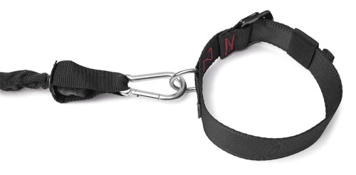Haltegurt - für Power-Bungee-Seil