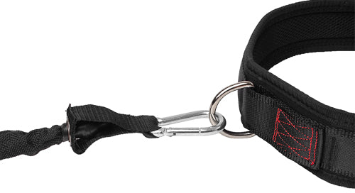 Bauchgurt mit 1 Metallring - für Power-Bungee-Seil
