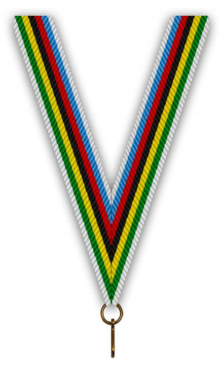 Medaillen Bänder 20 MM